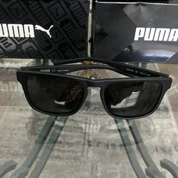 Puma Sunglasses 
