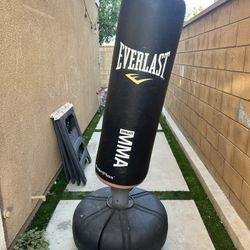 FREE Punching Bag