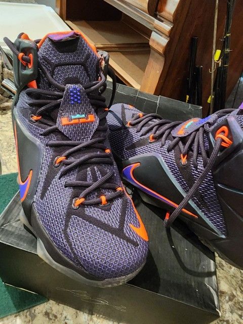 Nike LeBron 12 Instinct