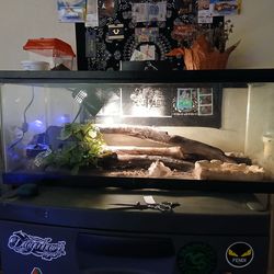 Zilla Reptile Tank perfect condition 2ft 8 inch long 13 inch tall