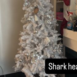 Suddenly Moving! All Prices Negotiable!! 