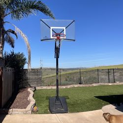 Portable Basketball Hoop