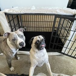 Luxurious Dog Crate 🐾