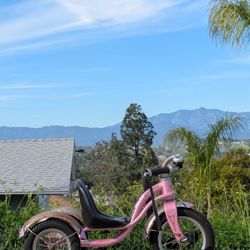 Vintage Schwinn Roadster Classic Tricycle 
