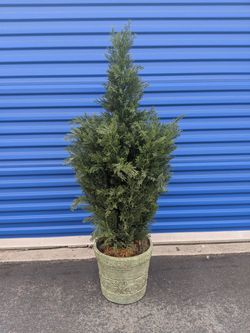 Cypress Home decor