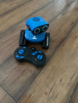 Remote control robot