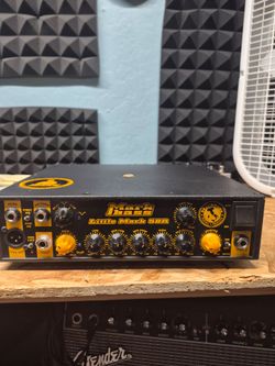 Bass Amp Head
