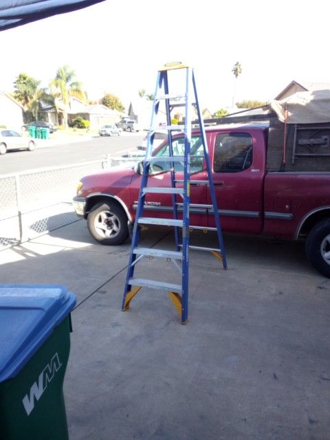 8' Werner Ladder 
