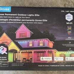 Govee Lights 