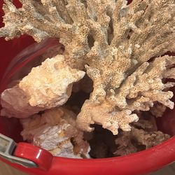 Nice Reef Rock And Reef Glue & Putty For Aquarium