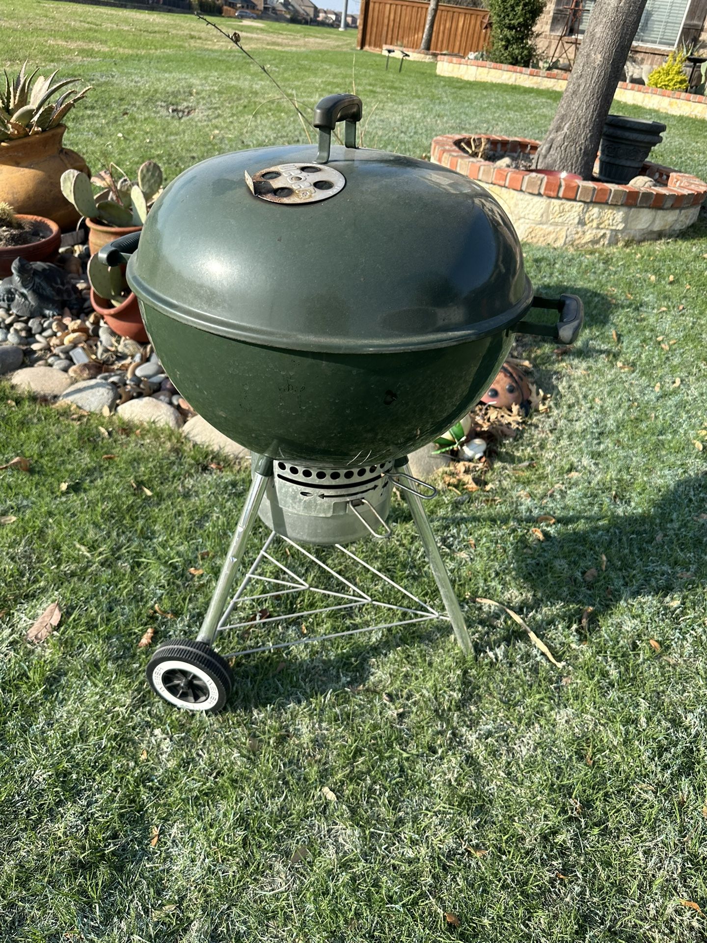 Weber kettle Limited green