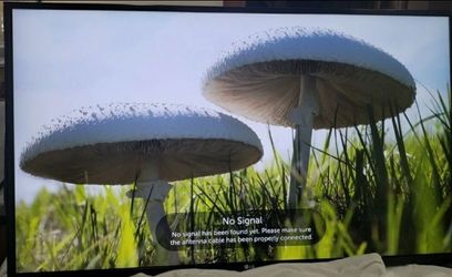 65" LG 4k smart tv