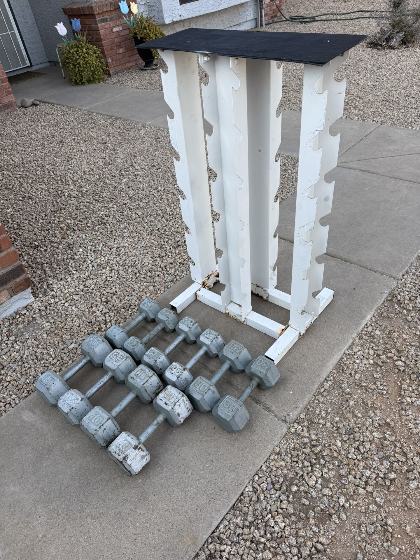 Dumbells And Rack
