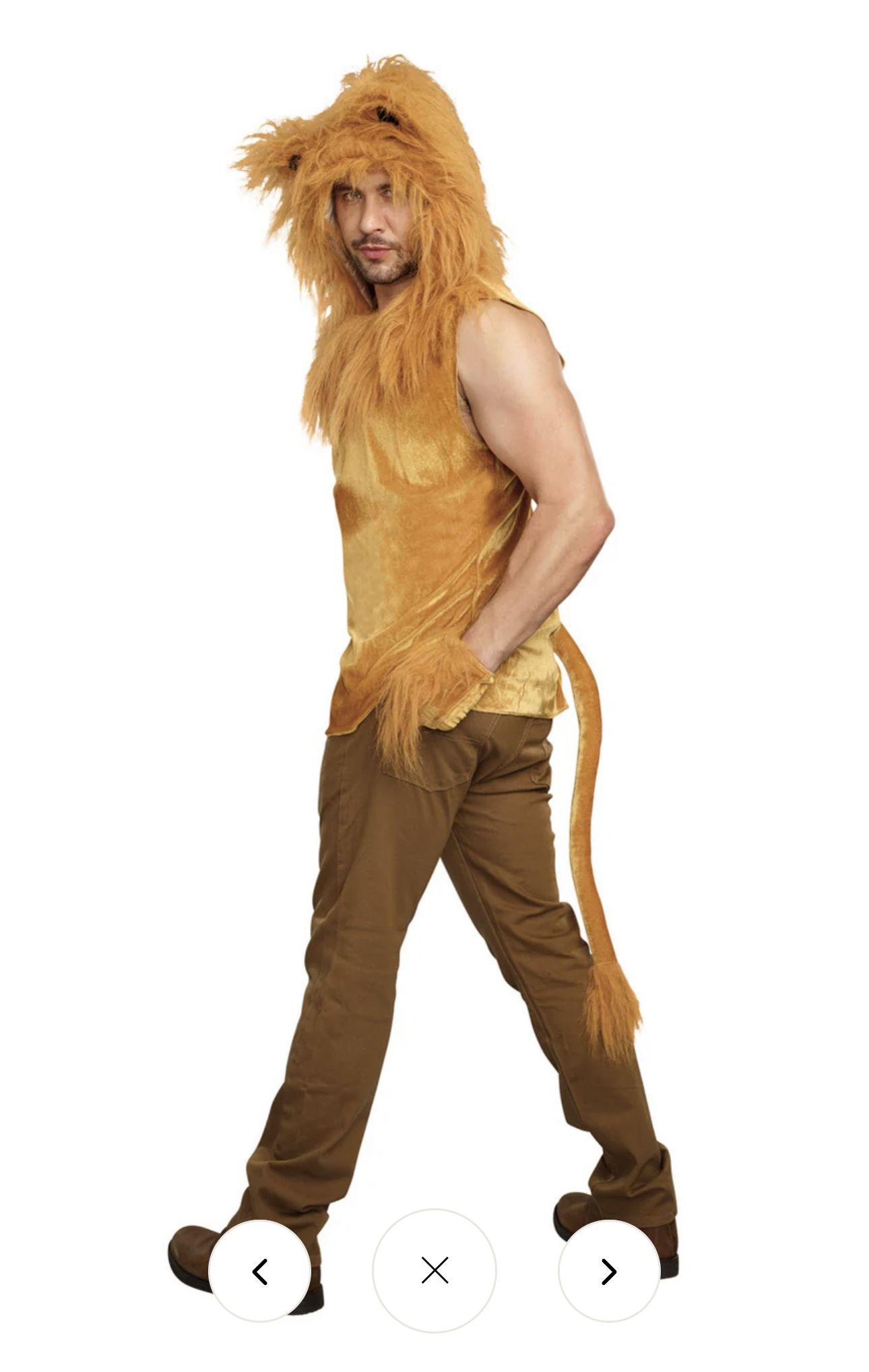 Lion King Halloween Costume  