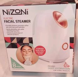 Electric Facial Steamer