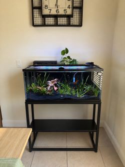 Aquarium tank
