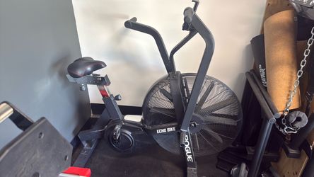 Rogue Echo Bike