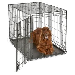 Foldable Metal Dog Crate