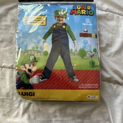 Luigi Costume 