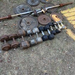 Gym weights