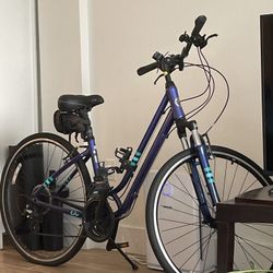 2020 Liv Flourish FS For sale!