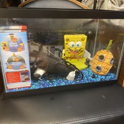 Fish Tank With Equipment 