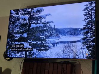 SAMSUNG 65" FLAT TV