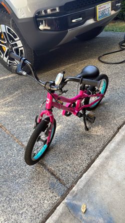 Guardian 14” bike