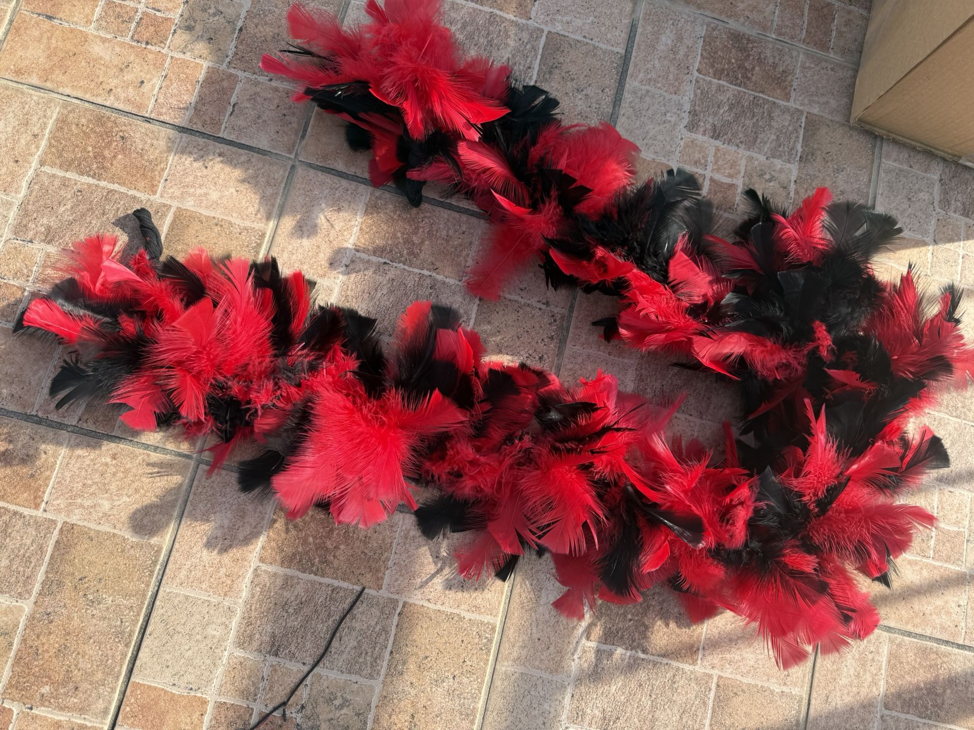 Red-black Boa