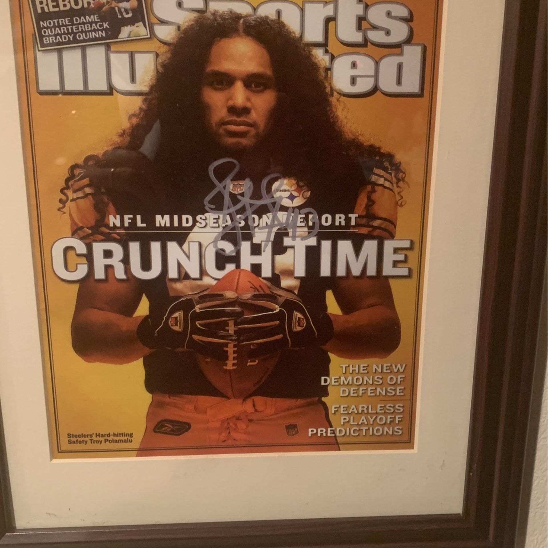 Troy Polamalu sports Illustrated