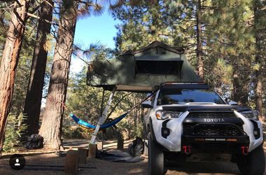 Cvt mt bachelor online