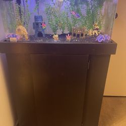 Fish Tank