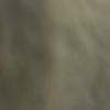 edgar