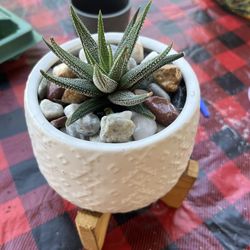 Cute Gift Idea for that Special One❤️
