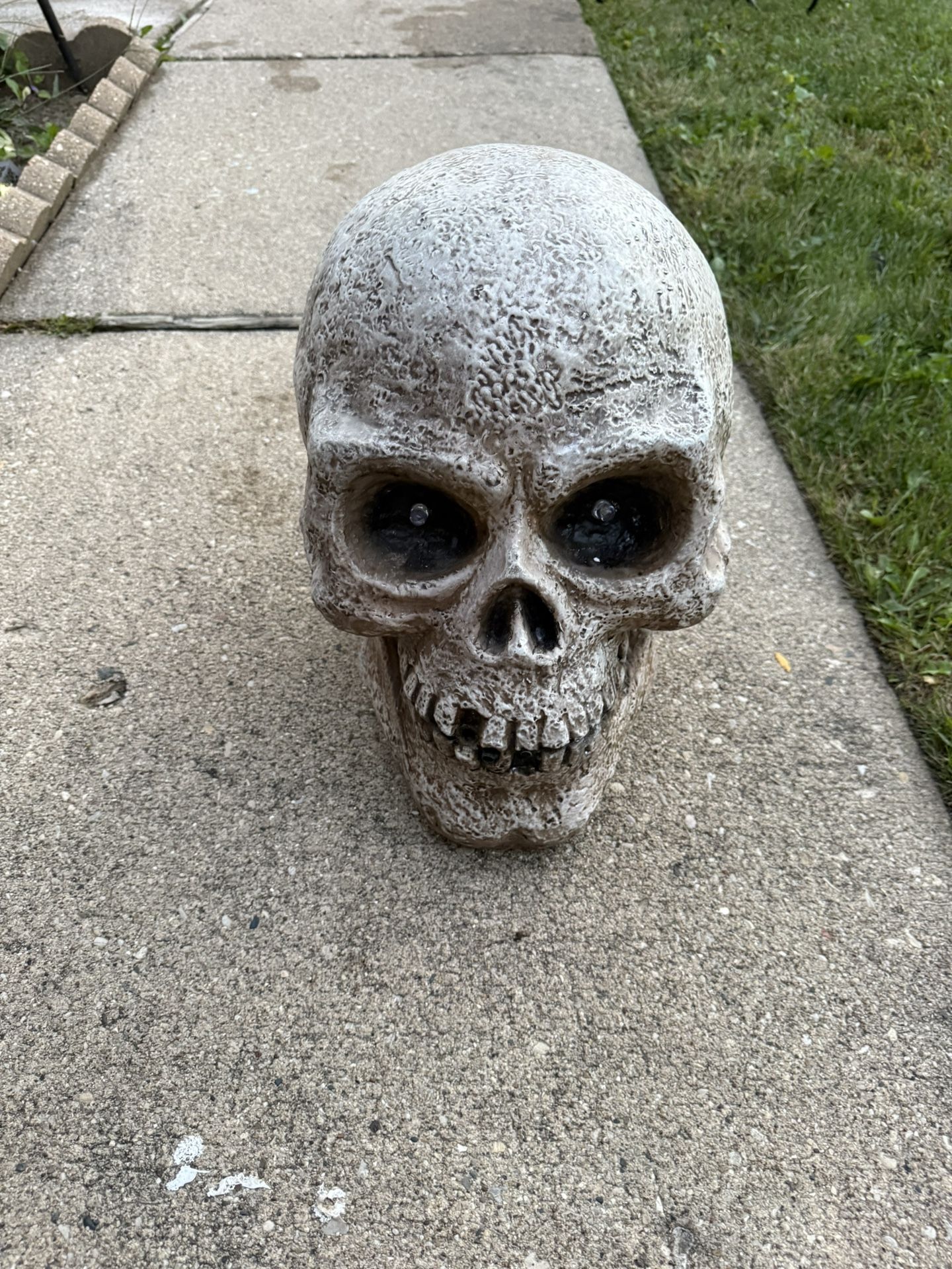 Halloween head
