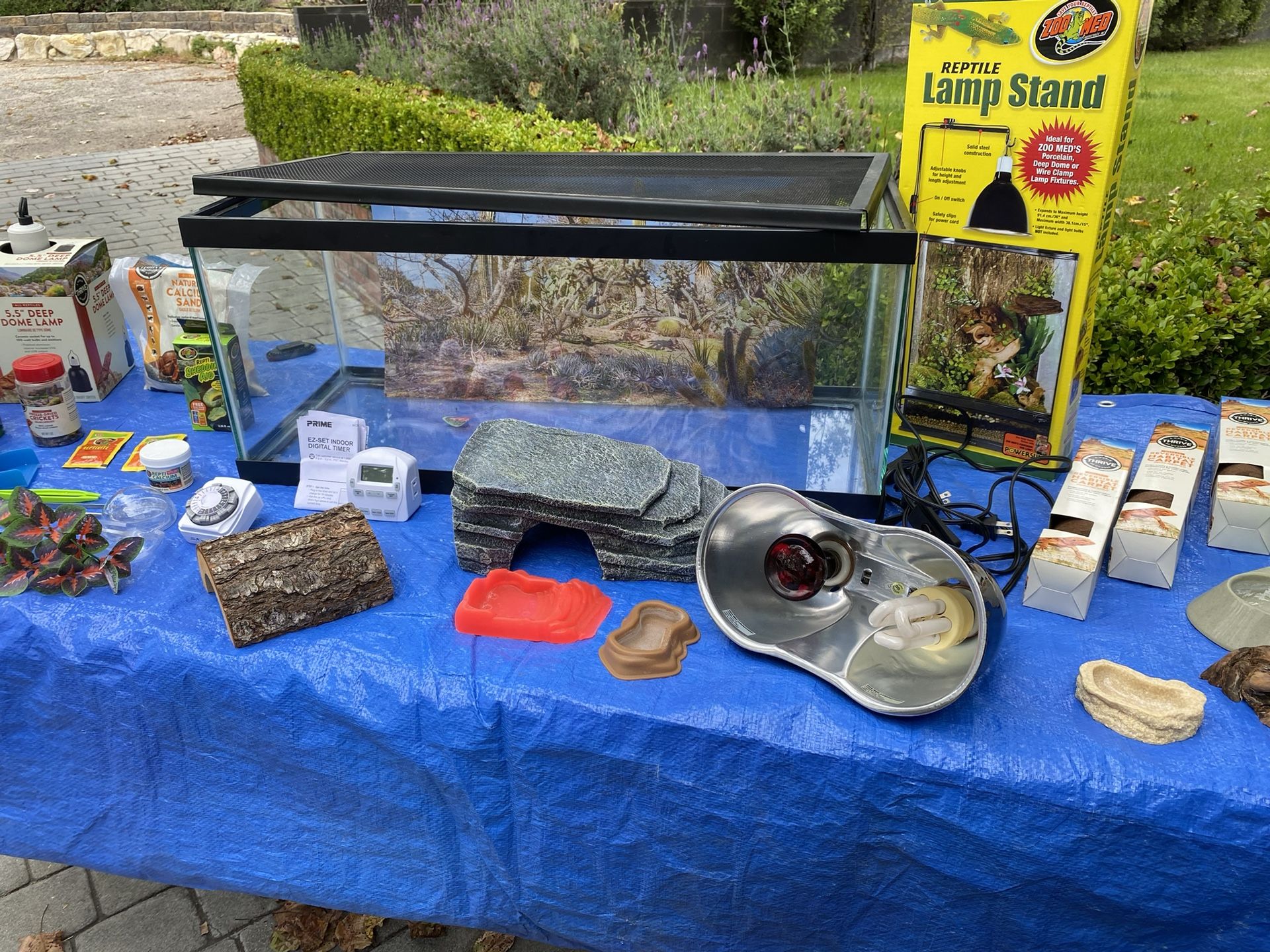 Lizard/Gecko Terrariums and supplies