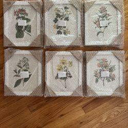 Floral Framed Prints Set of 6  New In Box