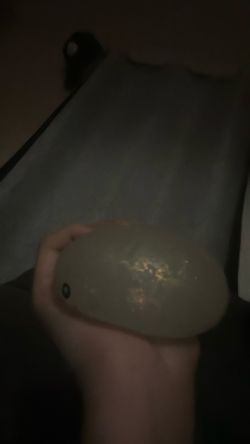 GLITTER dumpling