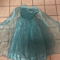 Frozen Dress Costume 