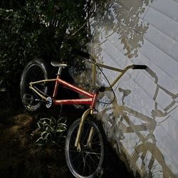BMX Bike Custom Paint 