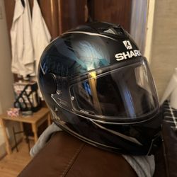 Shark D-skwal2 Helmet