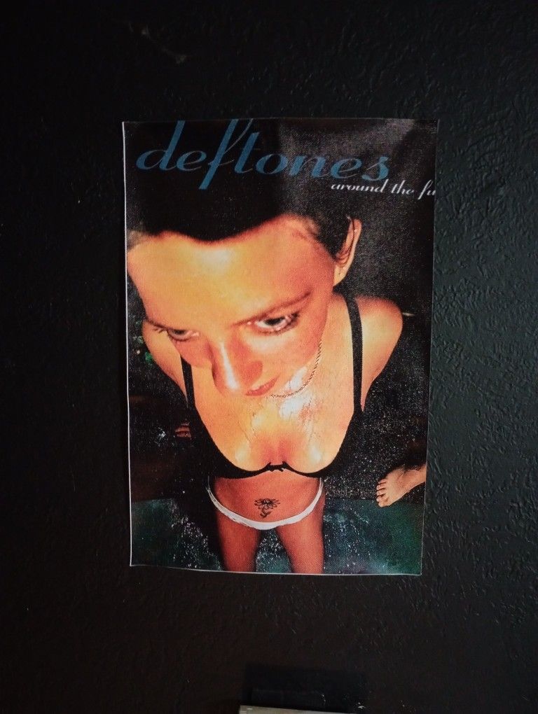 Deftones Around The Fur Album Cover Canvas Poster Wall Art Room Aesthetic