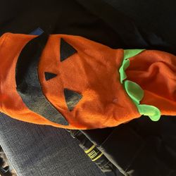 Dog Pumpkin Costume 