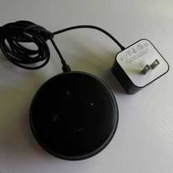 2 Amazon Echos 