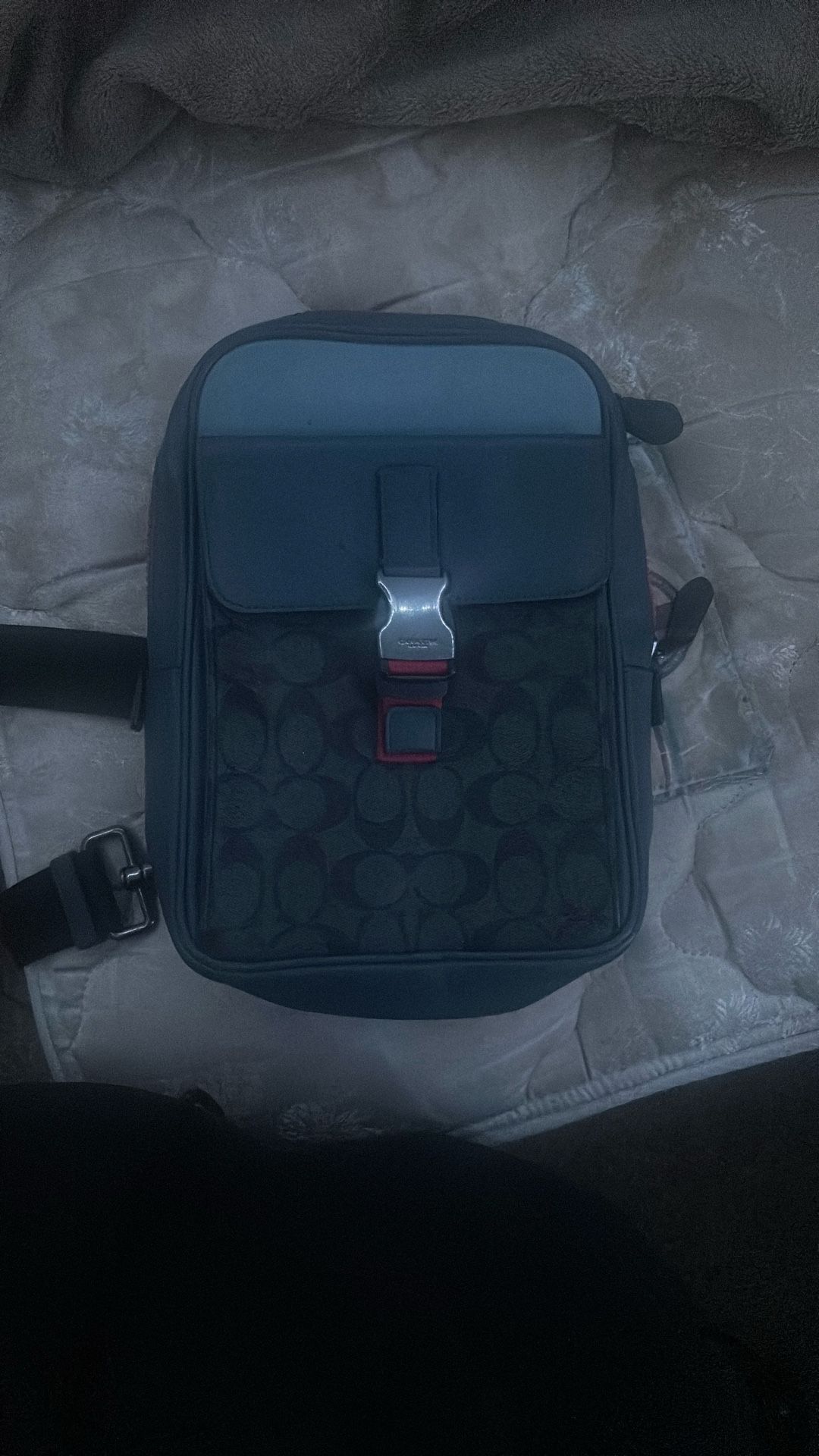 Coach Bag (won’t Ship)