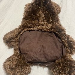 Dog  Halloween Costume 