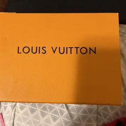 Louis Vuitton slides