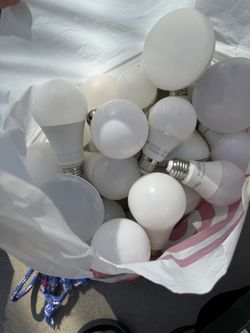 Light Bulbs