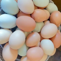 Huevos Frescos $8 La Docena 