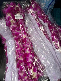 Graduation Real Flower Leis